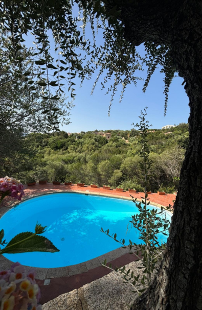 VILLA IN AFFITTO PORTO CERVO